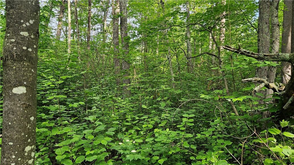 Photo of Lots 13-20, 23-28 Woodland Avenue, Hayward, WI 54843 (MLS # 1592565)