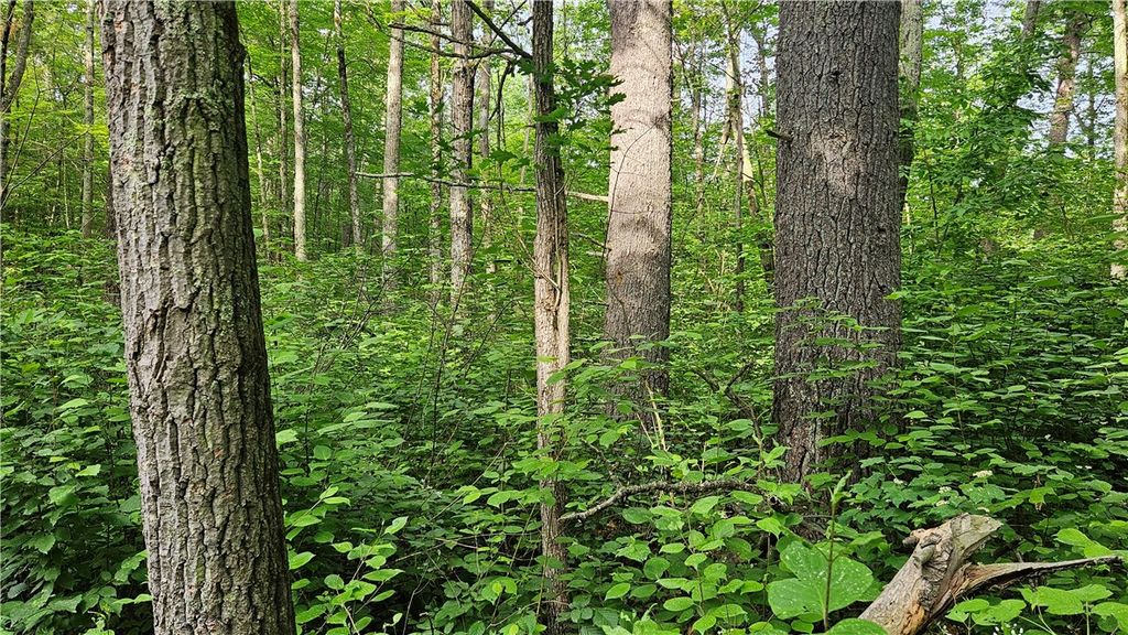 Photo of Lots 13-20, 23-28 Woodland Avenue, Hayward, WI 54843 (MLS # 1592565)