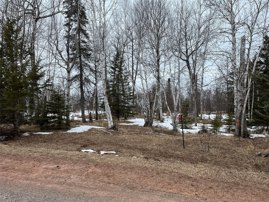 Photo of 10427 E Devries Road, Poplar, WI 54864 (MLS # 1599941)
