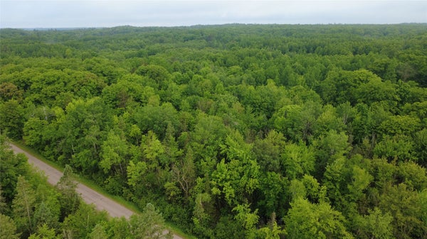 BOUNDARY RD, HATLEY, WI 54440 - Image d2397eb8dcbda774c2e5d69f457007d7/3929673989
