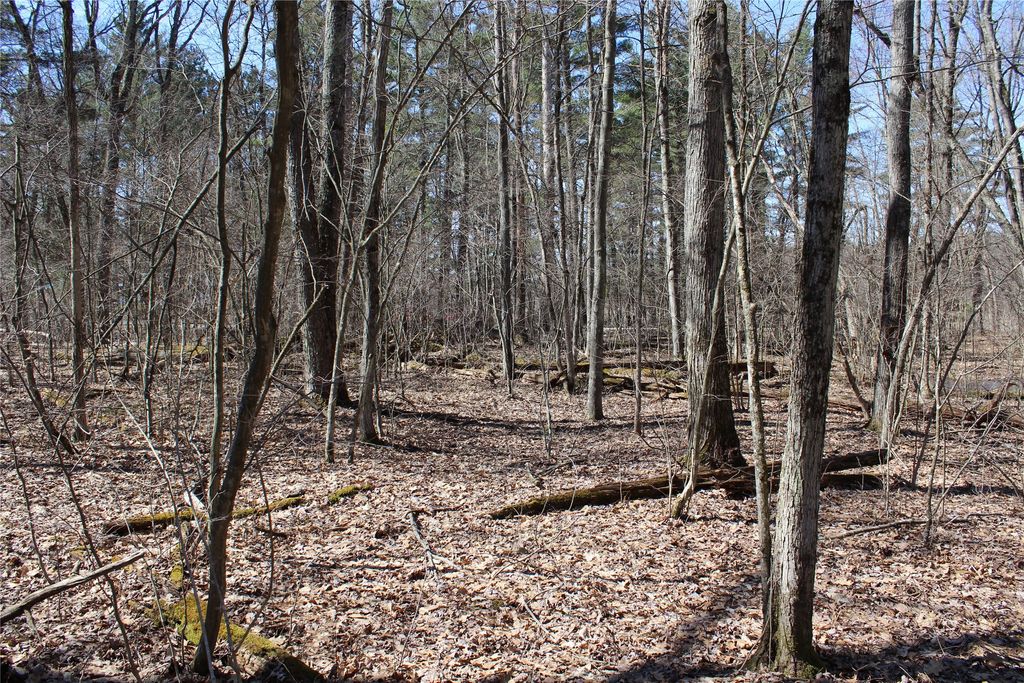 Photo of 00 Resewood Ave. - Lot 4, Neillsville, WI 54456 (MLS # 1599883)