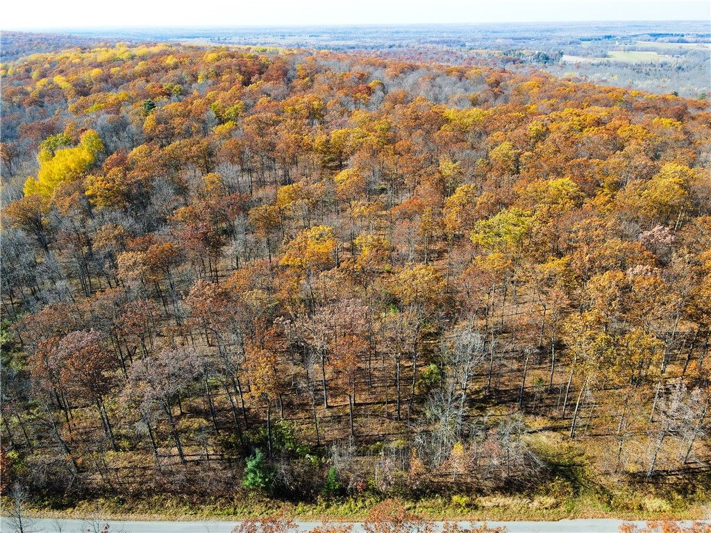 Photo of Lot 2 Breakneck Road, Birchwood, WI 54817 (MLS # 1596974)