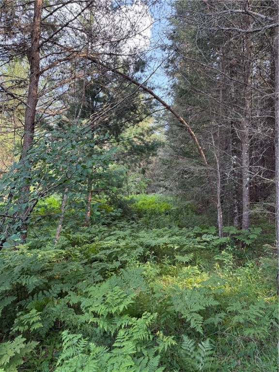 0 Tagalder Trail