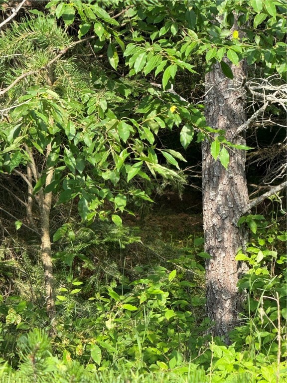 0 Tagalder Trail