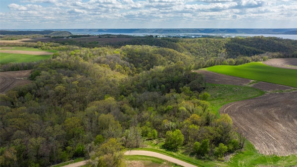 0 MAPLEWOOD LANE, ALMA, WI 54610 - Image d5cd0979a40682f129075d04be21f75f/730239786