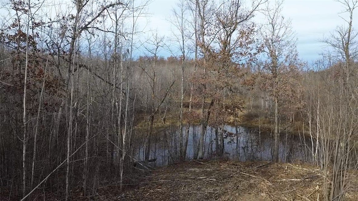 Photo 1 of 20 — W58XX Oak Ridge Drive, Trego, WI 54888