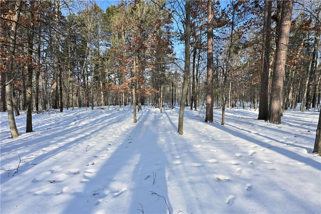 Photo of 3656 Deer Lodge Trail Way, Danbury, WI 54830 (MLS # 1597551)