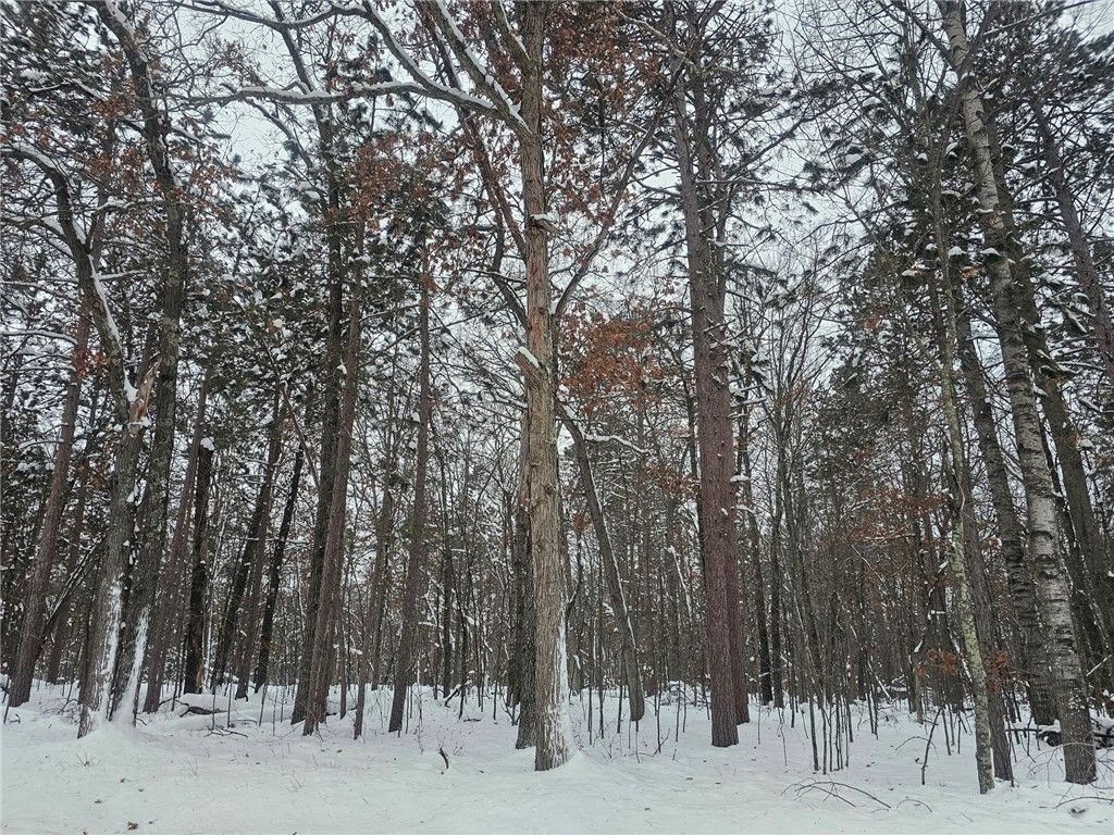 Photo of Lot 6 Long Lake Road, Danbury, WI 54830 (MLS # 1597576)