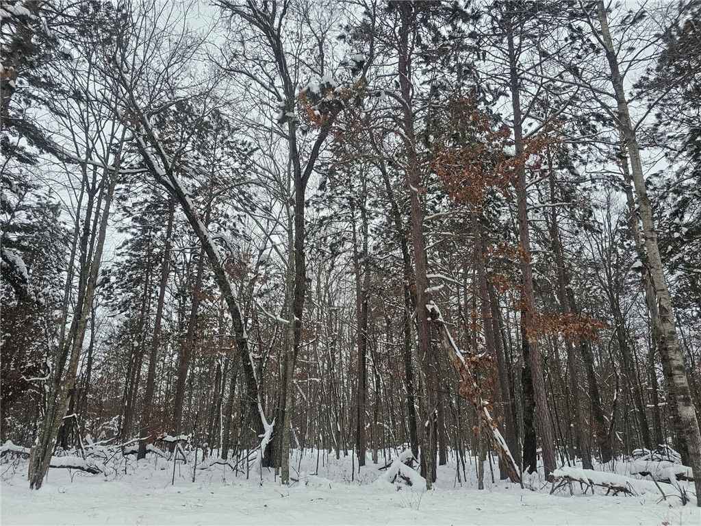 Photo of Lot 6 Long Lake Road, Danbury, WI 54830 (MLS # 1597576)