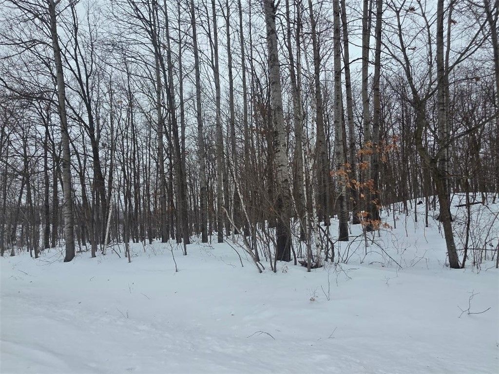 Photo of 00 26 1/2, Cumberland, WI 54829 (MLS # 1598245)