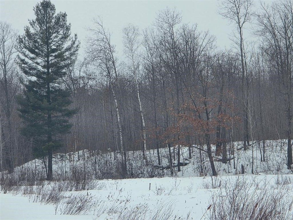 Photo of 00 26 1/2, Cumberland, WI 54829 (MLS # 1598245)