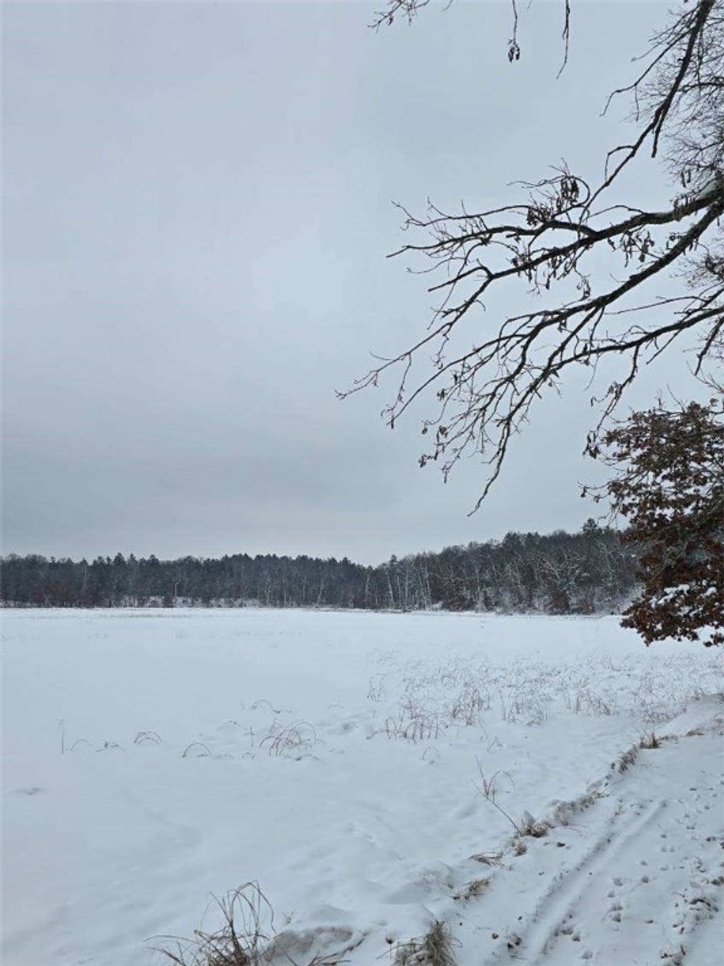 Photo of 9019 W Wood Duck Lane, Minong, WI 54859 (MLS # 1597440)