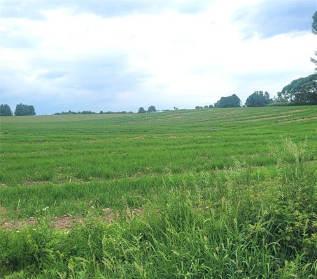 US-10, NEILLSVILLE, WI 54456 - Image df91ed9e1921e4dbd9daefe0658bfa49/1119966379