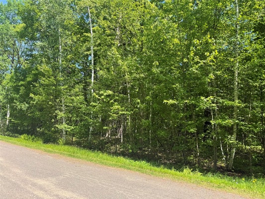 LOT 1 23 1/2 AVENUE, RICE LAKE, WI 54868 - Image dfff91180c18d97f5f00a198a264fa11/1283765831