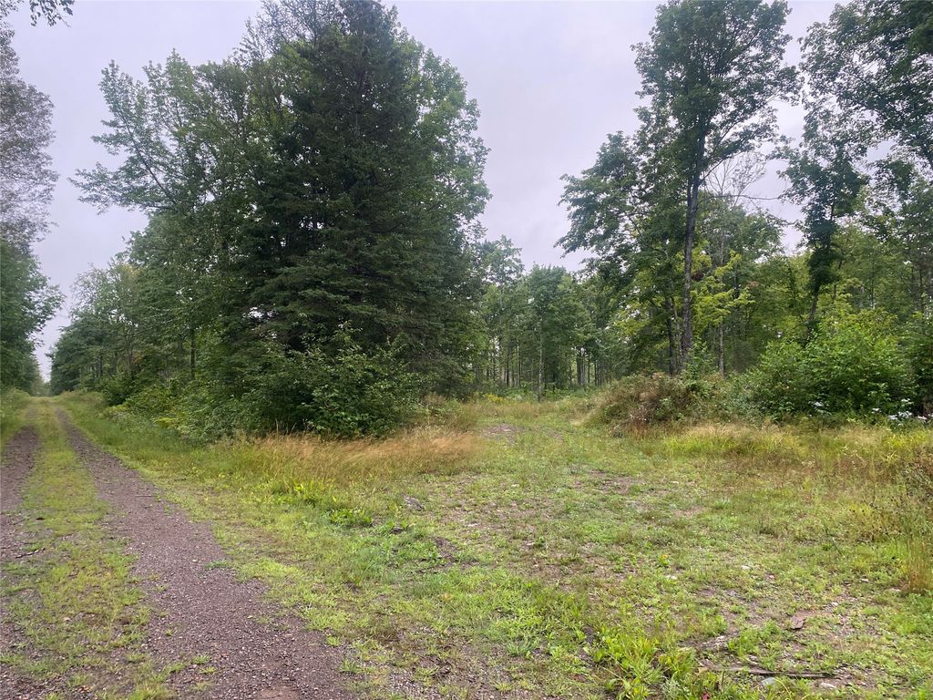 Photo of On Doland Road, Loretta, WI 54896 (MLS # 1599134)