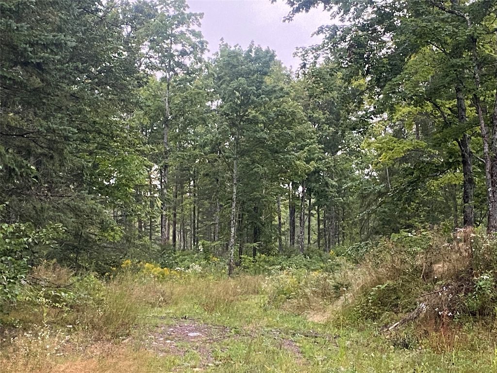 Photo of On Doland Road, Loretta, WI 54896 (MLS # 1599134)