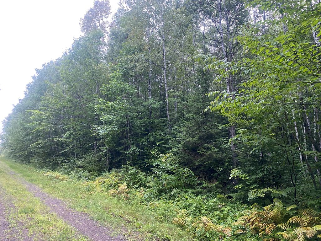 Photo of On Doland Road, Loretta, WI 54896 (MLS # 1599134)