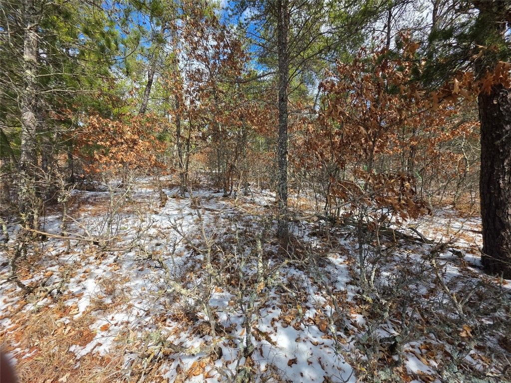 Photo of 9075 W Wood Duck Lane, Minong, WI 54859 (MLS # 1599928)
