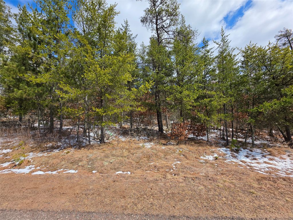 Photo of 9075 W Wood Duck Lane, Minong, WI 54859 (MLS # 1599928)