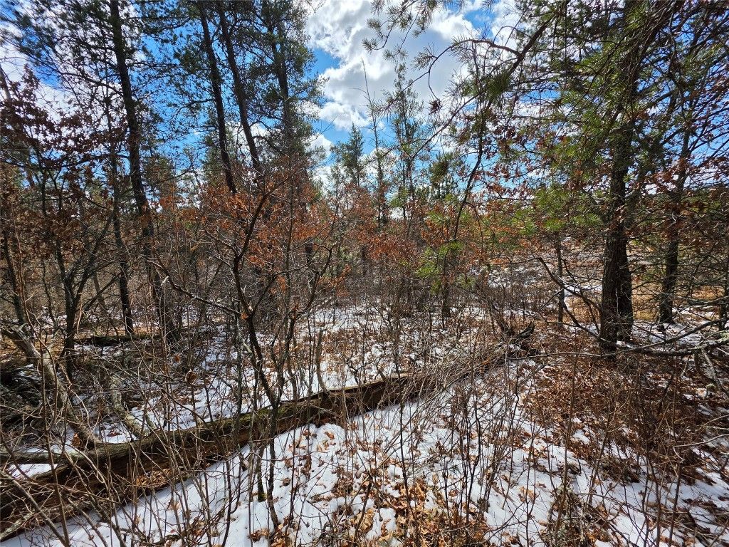 Photo of 9075 W Wood Duck Lane, Minong, WI 54859 (MLS # 1599928)