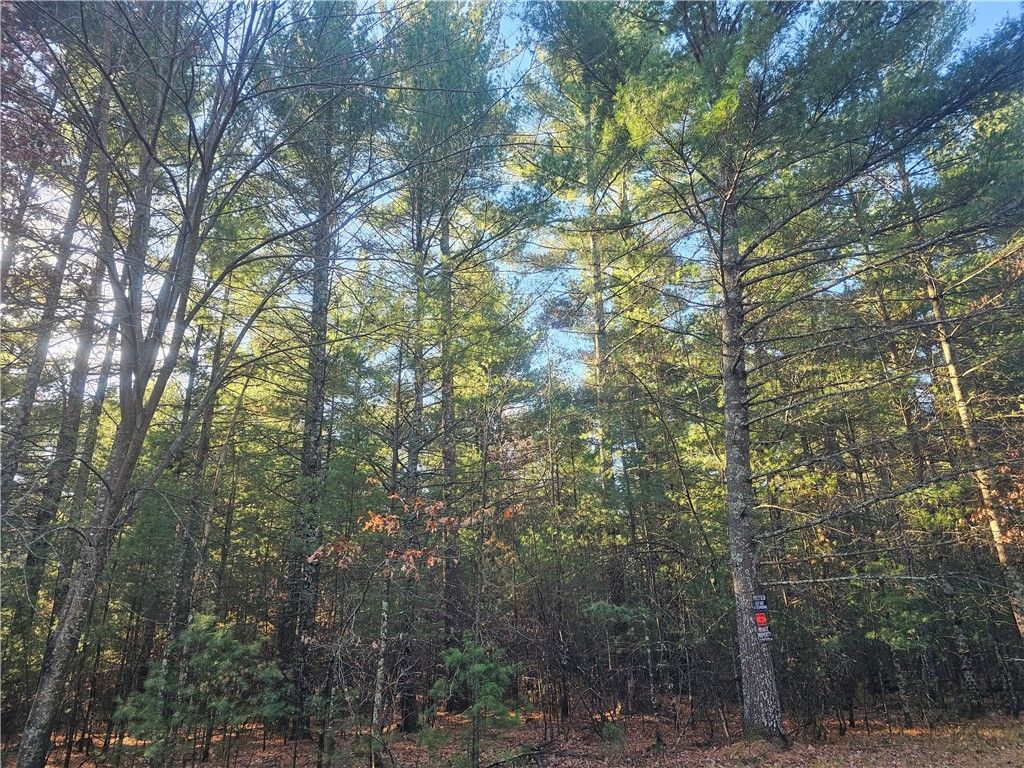 Photo of XXX Harmon Avenue E, Grantsburg, WI 54840 (MLS # 1597230)