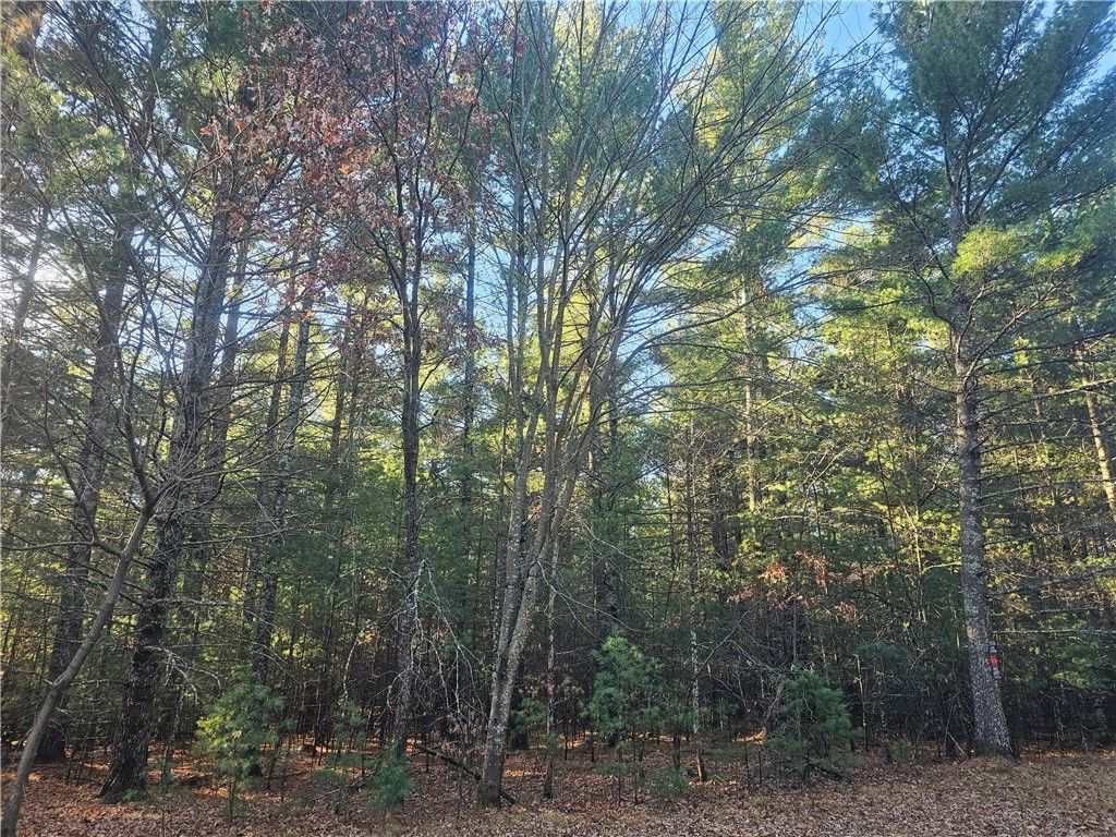 Photo of XXX Harmon Avenue E, Grantsburg, WI 54840 (MLS # 1597230)