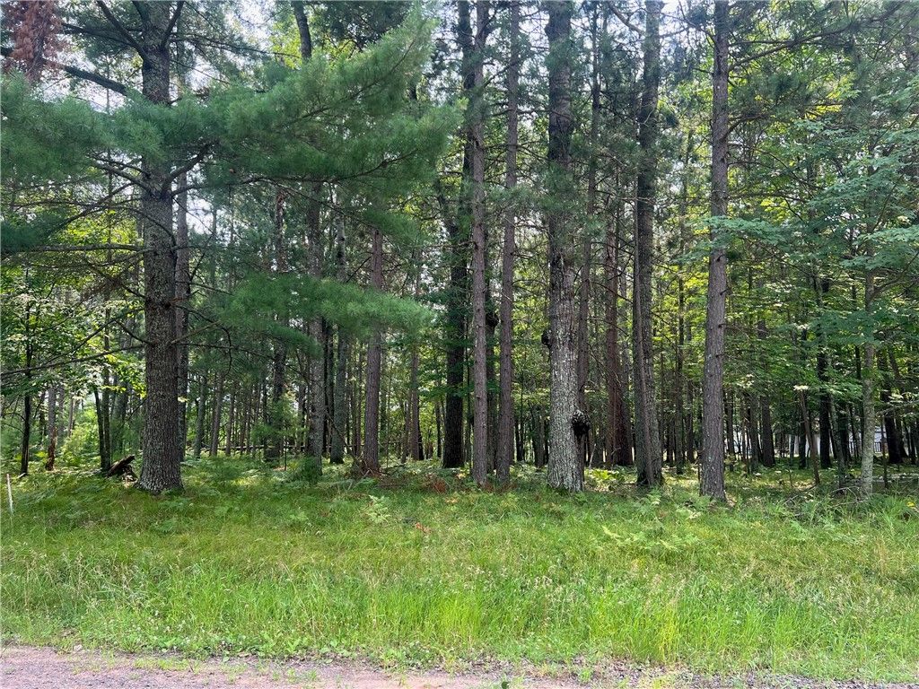 Photo of Lot 24 Thunderbird Way, Danbury, WI 54830 (MLS # 1597324)