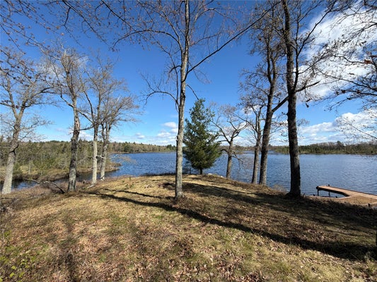 0 267TH AVENUE, NEW AUBURN, WI 54757 - Image ec4c2f63456df9af324fec1e439aee46/1753397077