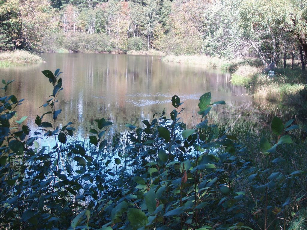 Photo of N15671 Evergreen Road, Park Falls, WI 54552 (MLS # 1599623)