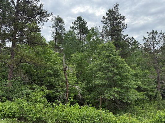 B1 ASPEN CT, SUPERIOR, WI 54880 - Image ef789252f3a9e6d96b28073fa4fd1db9/3960296438