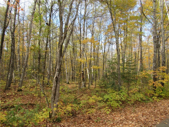 Photo 1 of 17 — Lot 3 Scheers Road, Hayward, WI 54843