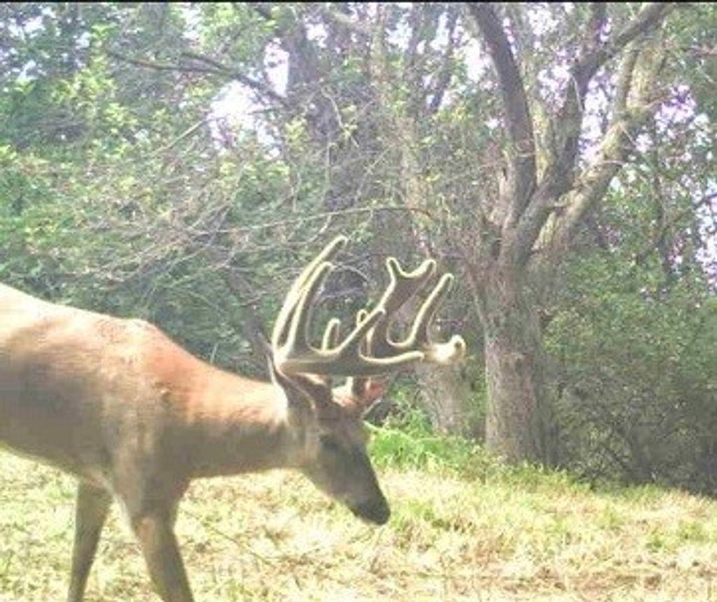 Photo of S657 County Road H, Mondovi, WI 54755 (MLS # 1598384)