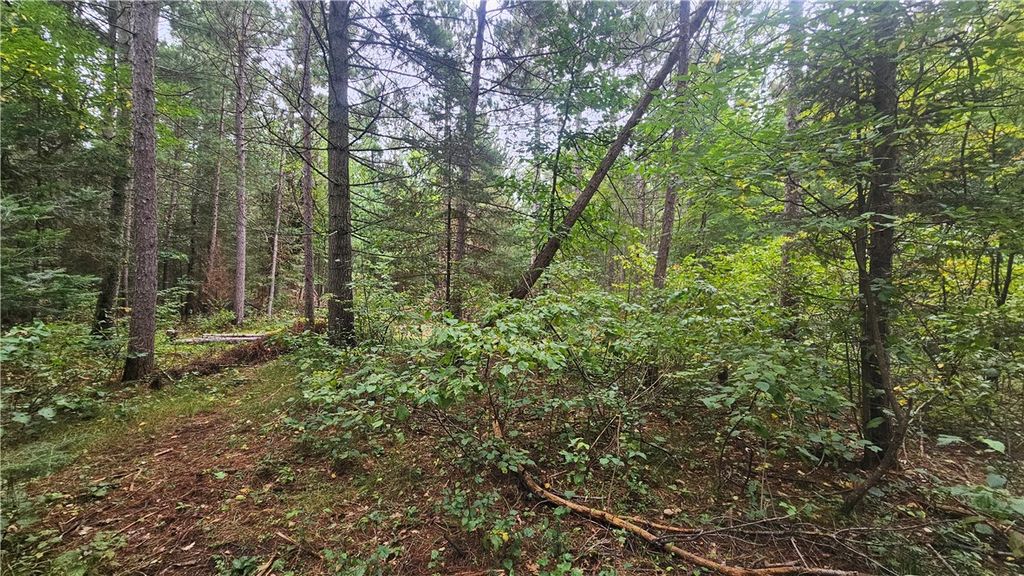 Photo of Lot 1 Hazelnut Lane, Hayward, WI 54843 (MLS # 1595517)
