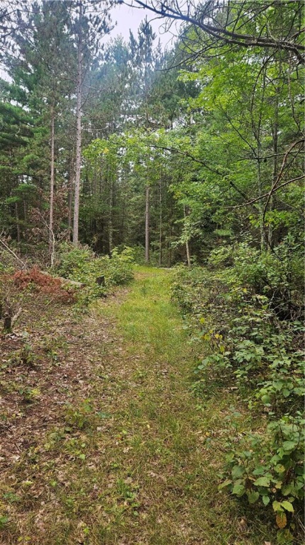 Photo of Lot 1 Hazelnut Lane, Hayward, WI 54843 (MLS # 1595517)