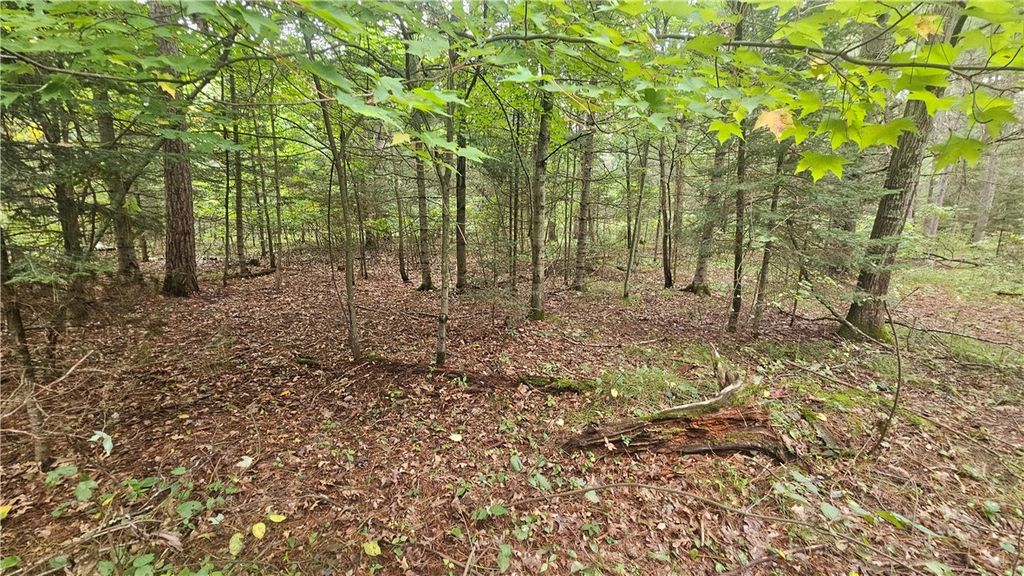 Photo of Lot 1 Hazelnut Lane, Hayward, WI 54843 (MLS # 1595517)