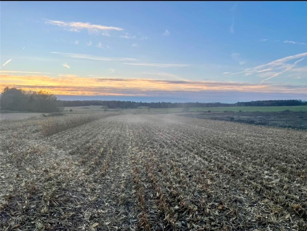 Photo of TBD 85th Street, Clear Lake, WI 54005 (MLS # 1597474)