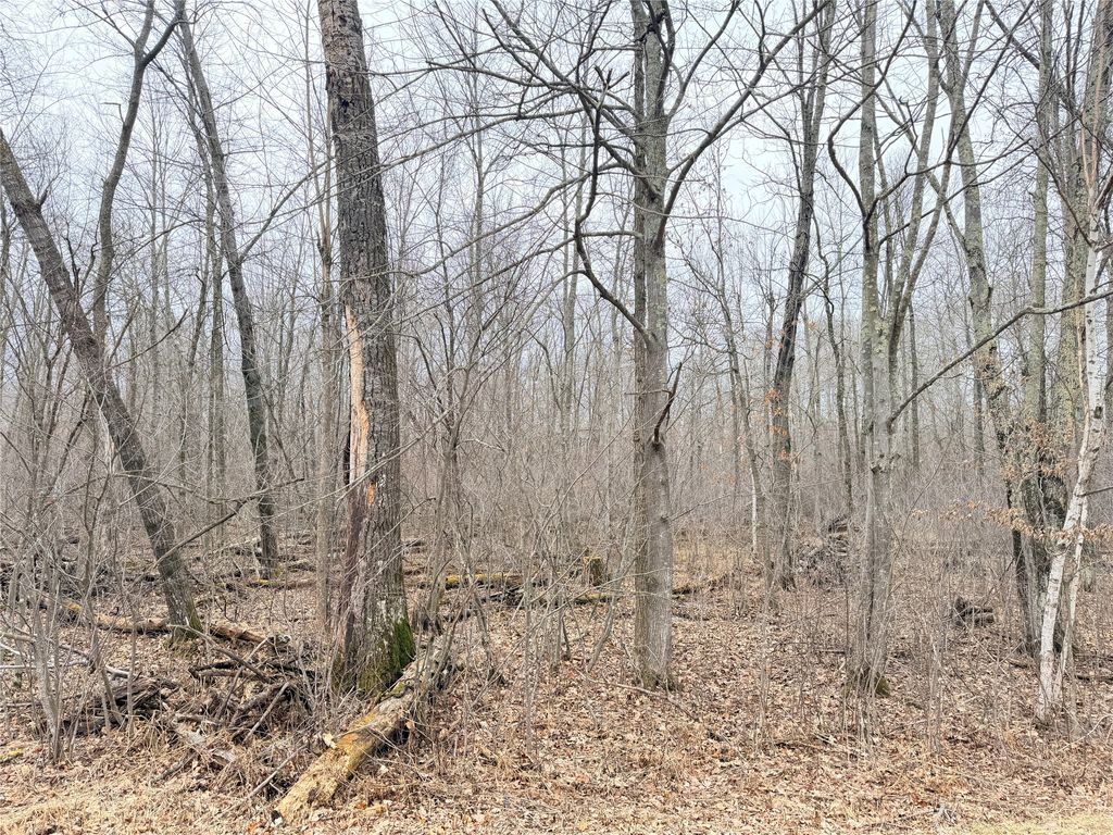Photo of Lot 20 28 7/8 Avenue, Birchwood, WI 54817 (MLS # 1599751)