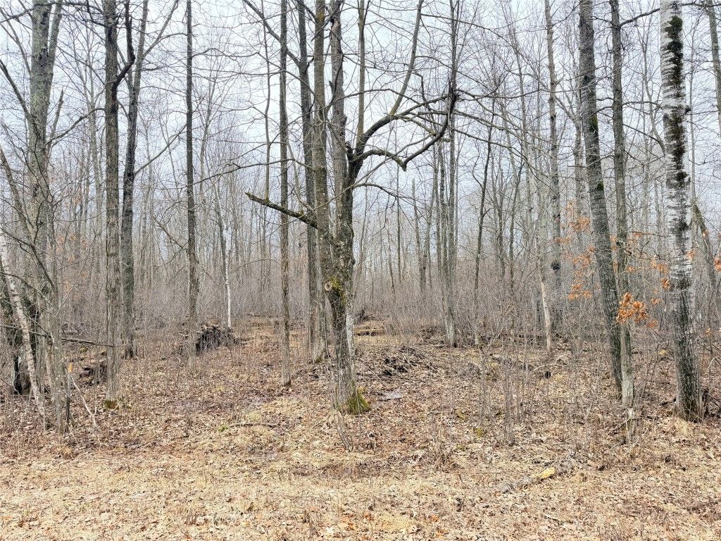Photo of Lot 20 28 7/8 Avenue, Birchwood, WI 54817 (MLS # 1599751)