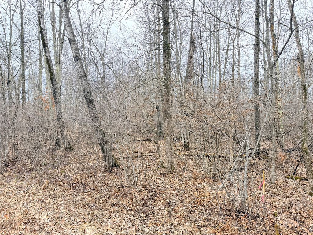 Photo of Lot 20 28 7/8 Avenue, Birchwood, WI 54817 (MLS # 1599751)