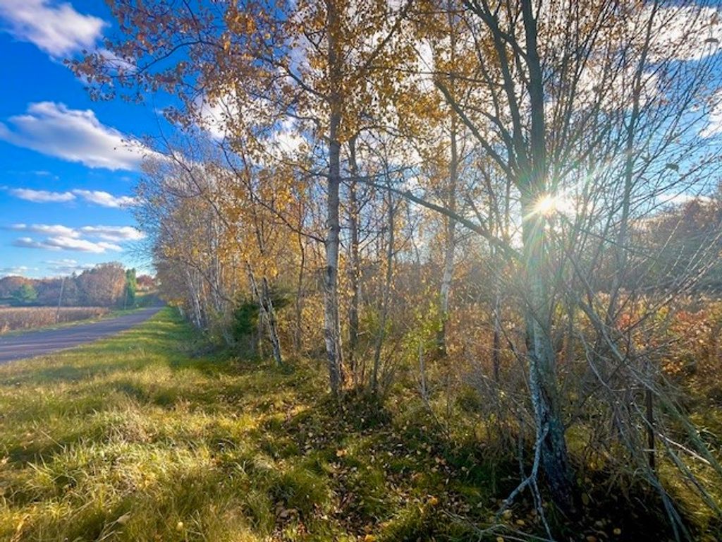 Photo of Lot 3 320th Street, Clear Lake, WI 54005 (MLS # 1597382)