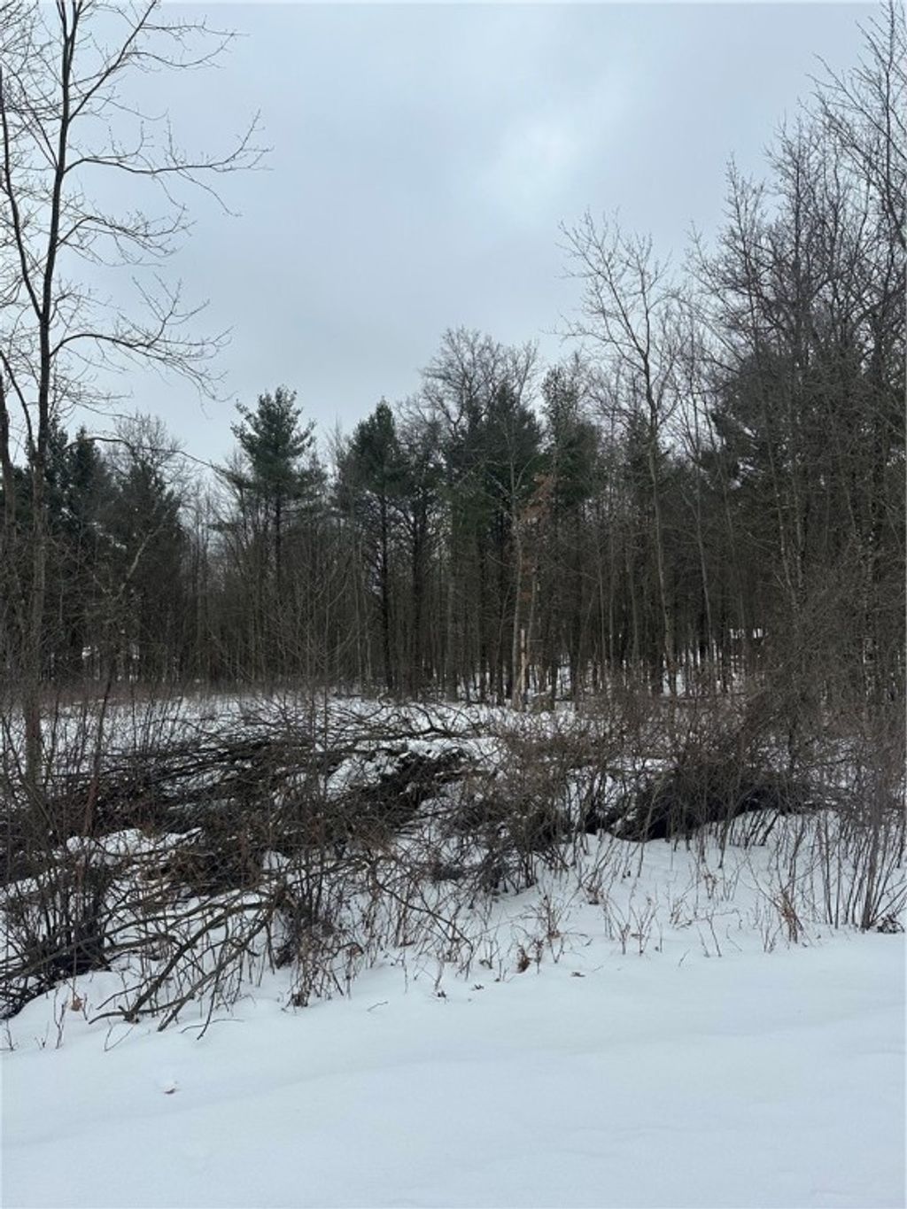 Photo of Lot 20 Betty Lane, Black River Falls, WI 54615 (MLS # 1598190)