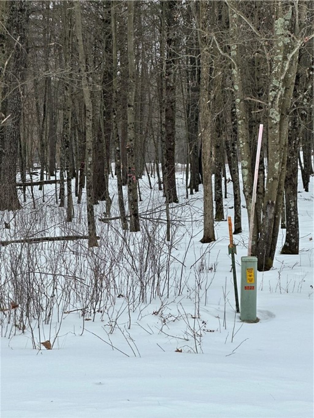 Photo of Lot 20 Betty Lane, Black River Falls, WI 54615 (MLS # 1598190)