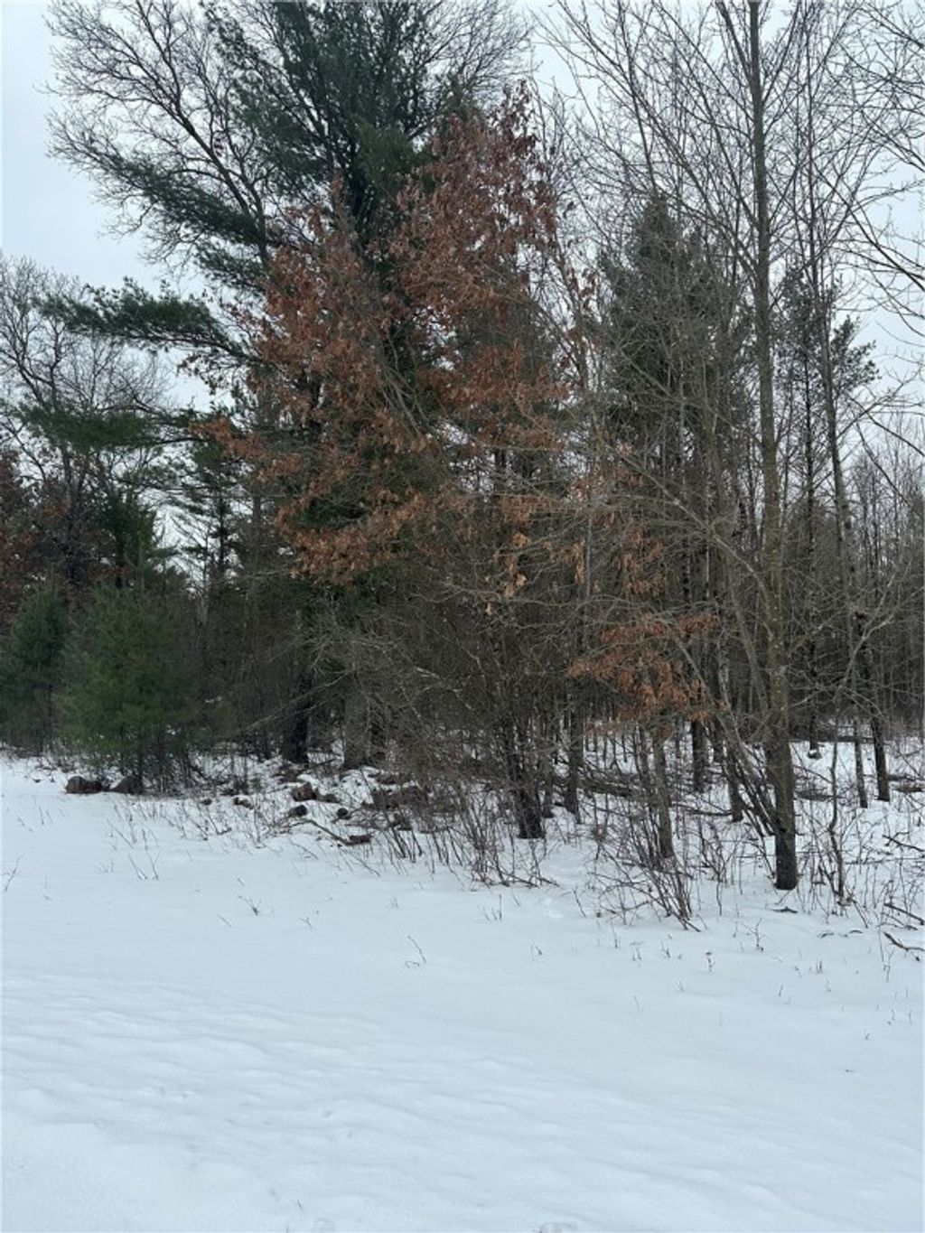 Photo of Lot 20 Betty Lane, Black River Falls, WI 54615 (MLS # 1598190)