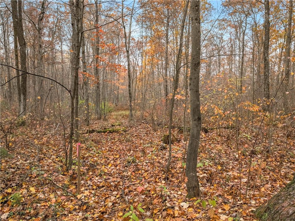 Photo of 0 Dream Catcher Rd, Hayward, WI 54843 (MLS # 1596678)