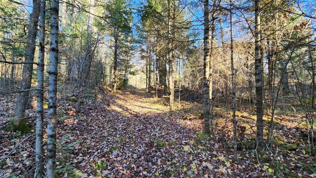 Photo of N13275 N Fork Road, Park Falls, WI 54552 (MLS # 1596835)