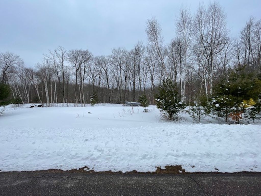Photo of 0 Ochu Road, Hayward, WI 54843 (MLS # 1599159)