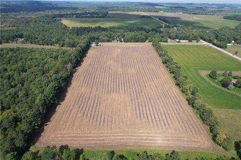 E4610 290th Ave Menomonie WI 54751