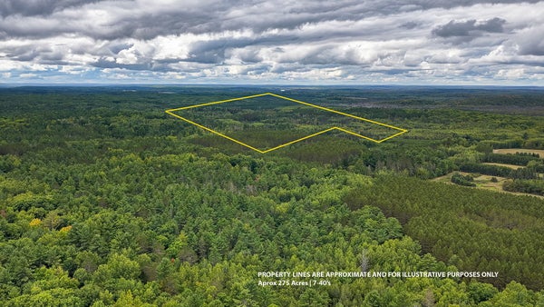 ADDRESS PRIVATE, HAYWARD, WI  - Image fbeb85abfa78992c50dc0175fb4ff2fd/1675522814