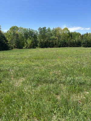 N3860 KOSTKA RD, LADYSMITH, WI 54848 - Image fdc741906a4e848f76320eff092ab7bb/3485372852