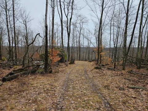 Vacant Land For Sale - 00 Scandia Road<br/> Warren County, Warren, PA 16365